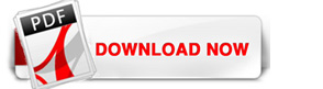 Ryder-Series-Stick-wholesalers-In-Chennai